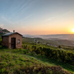 Langhe Roero e Monferrato festeggiano dieci anni di Unesco con un grande evento