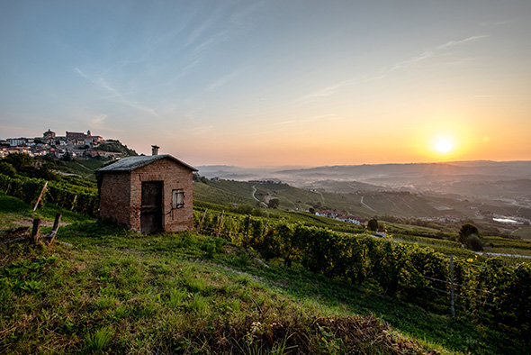 Langhe Roero e Monferrato festeggiano dieci anni di Unesco con un grande evento