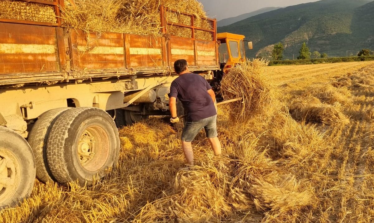 Ortucchio (AQ), è festa della trebbiatura – 27/28 luglio Fuoriporta