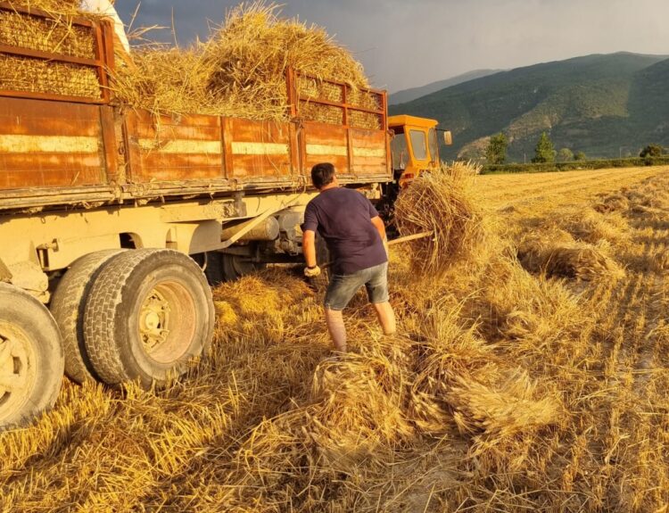 Ortucchio (AQ), è festa della trebbiatura – 27/28 luglio Fuoriporta