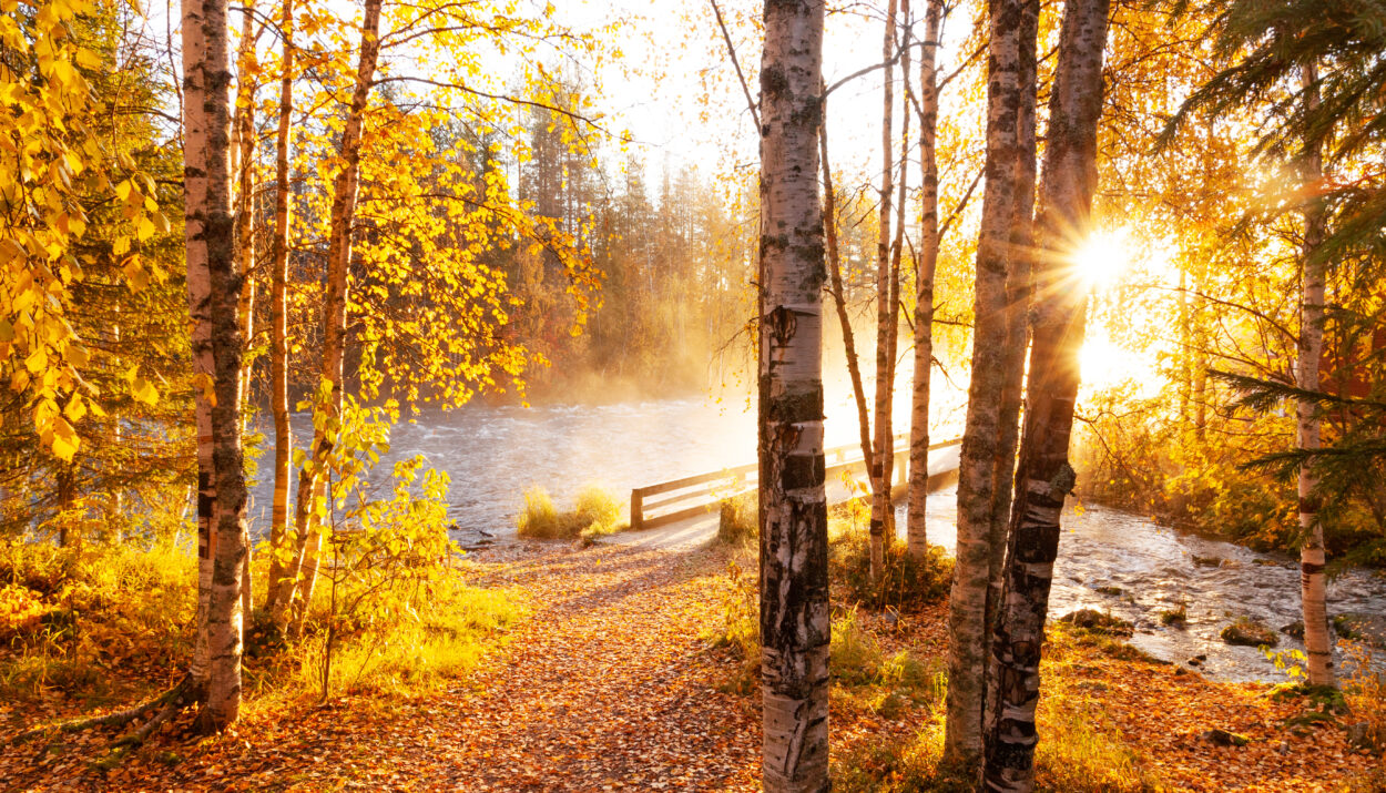 In Finlandia per il foliage