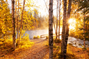 In Finlandia per il foliage