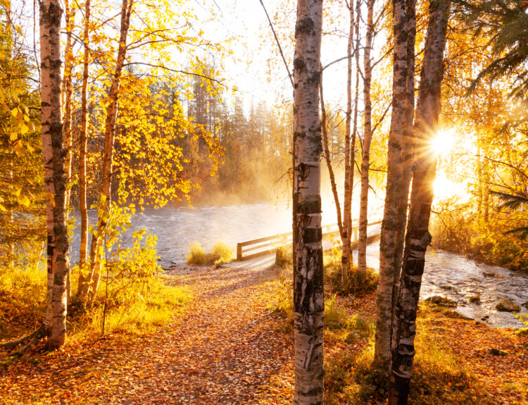 In Finlandia per il foliage