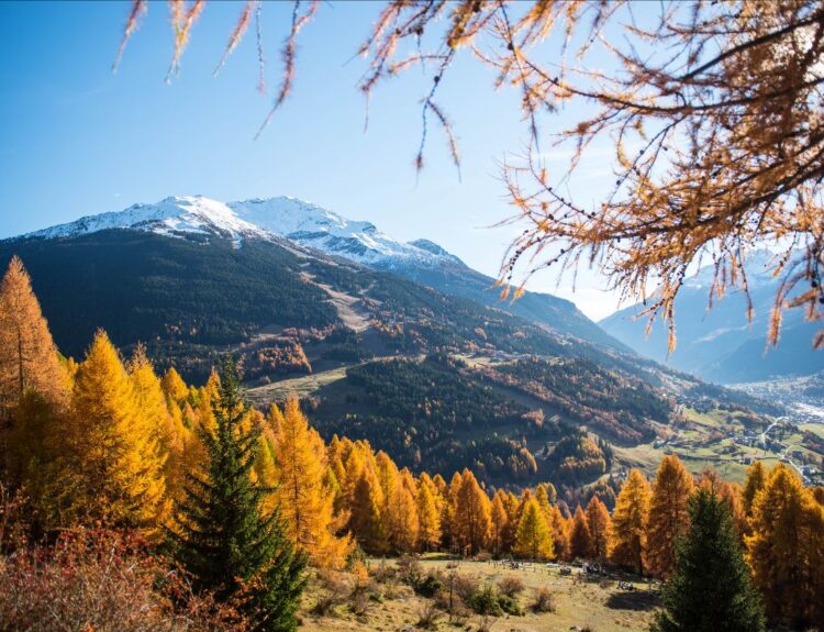 Bormio d'autunno