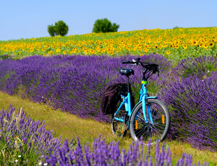 La Francia e il cicloturismo, una destinazione in forte crescita che si prefiggi di diventare capitale mondiale del cicloturismo