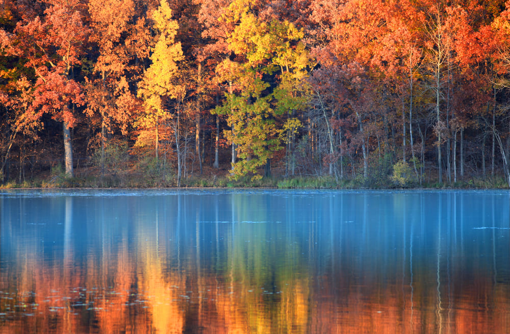 Lago circondato da foresta con il foliage autunnale in Europa dove gli alberi dai colori giallo, arancione e rosso si riflettono sulla superficie calma dell'acqua, creando un'atmosfera serena e pittoresca