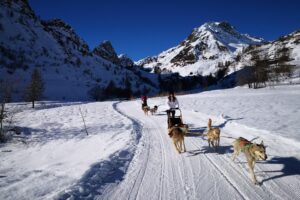 Da Freedome a Natale tante esperienze a contatto con la natura come idea regalo