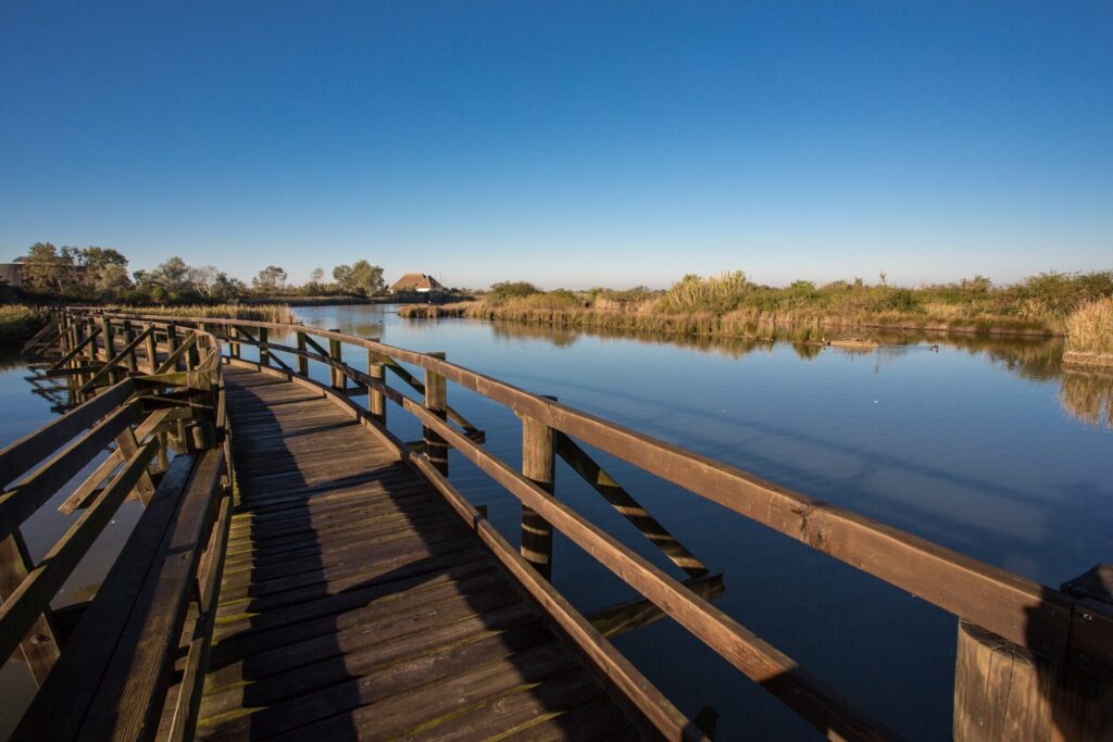 Scopri Lignano Sabbiadoro fuori stagione, escursioni tra natura, arte e panorami unici per un’esperienza di relax e benessere tutto l’anno.