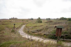 Scopri “Le Mappe del Delta”, l’iniziativa che valorizza il Delta del Po con ricerca, sostenibilità e turismo lento.