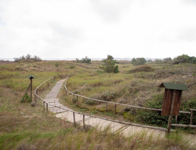 Scopri “Le Mappe del Delta”, l’iniziativa che valorizza il Delta del Po con ricerca, sostenibilità e turismo lento.