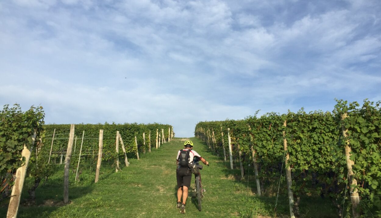 Scopri LangaRide, il tour di Pasquetta in bici tra le Langhe con degustazioni di vini e prodotti tipici. Iscriviti ora, posti limitati!