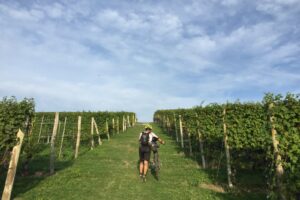 Scopri LangaRide, il tour di Pasquetta in bici tra le Langhe con degustazioni di vini e prodotti tipici. Iscriviti ora, posti limitati!